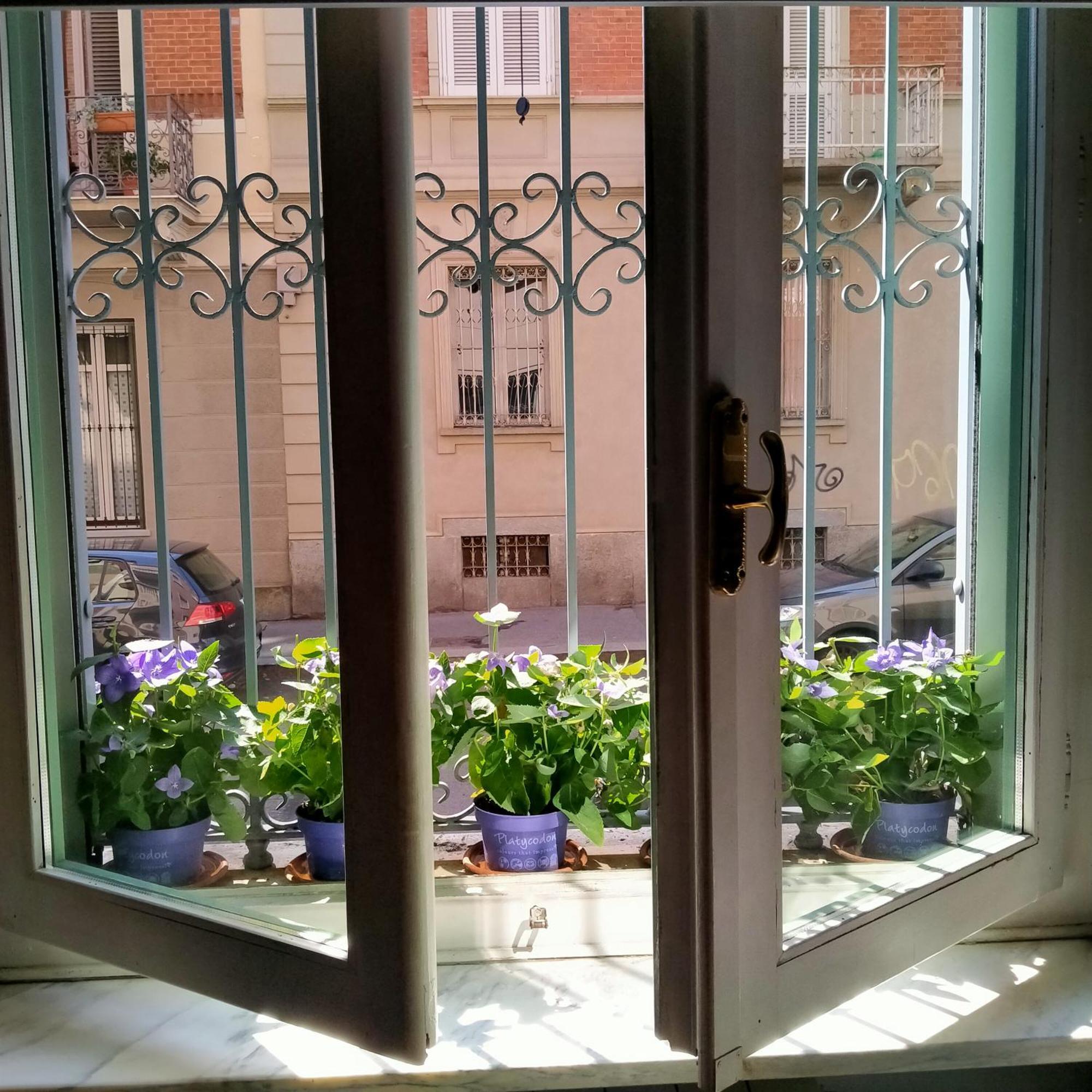 La Graziosa Torino, Porta Susa Zewnętrze zdjęcie